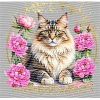 Animal Integration-DW 271